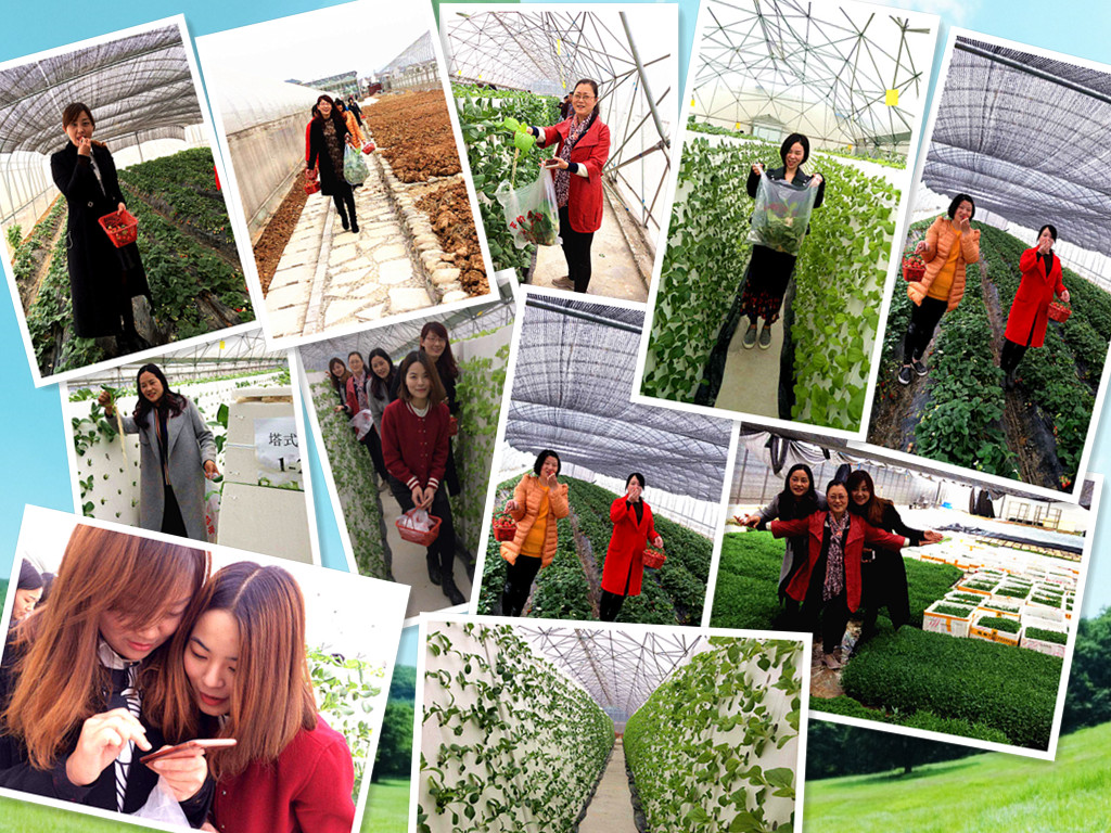 Ů��(ji��)���y��̕��c�����˲�ժ�Θ�����������r(n��ng)�I(y��)��˾��������e��